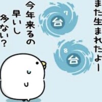 おやすみなさい