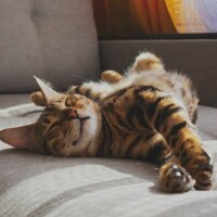 お休みを頂いております🙇