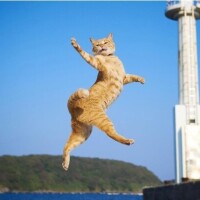 出勤です