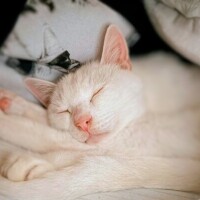 それでは…