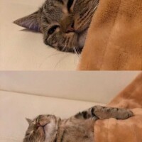 お休み☔
