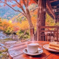 おはようございます
