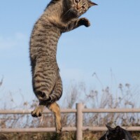 出勤です