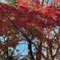 9月