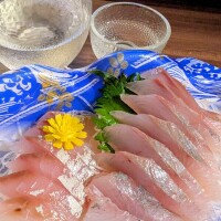 今夜はこれ♪