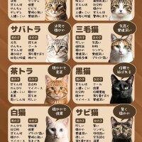 🎀おはようございます🎀