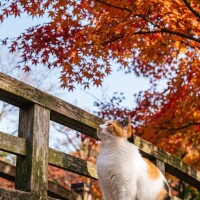 出勤してます🍃