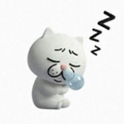 爆睡😴💤