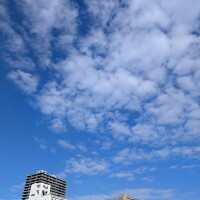 おはようございます