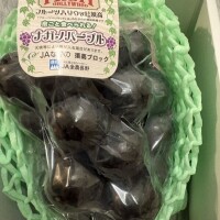 ナガノパープル🍇