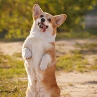 今日は～