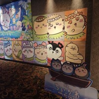 4DX