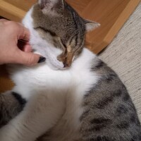 眠たい😪💤💤