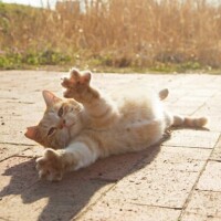 晴れの特異日🌞✨