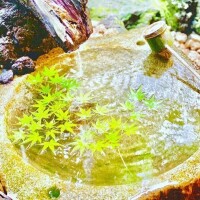 夕方から出勤致します🙇
