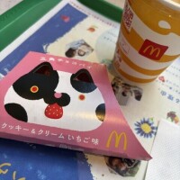 食べたかったやつ！！