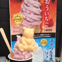 1日数量限定✨