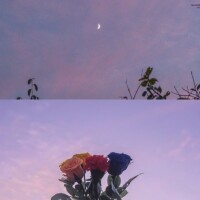 おはよ🧸💜໒꒱𓈒𓏸