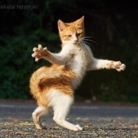 出勤です