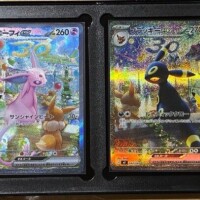 コレクション✨