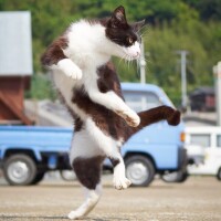 出勤です