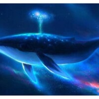 🧚今日も1日お疲れ様でした🧚