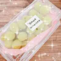𝕞𝕦𝕤𝕔𝕒𝕥¨̮♡