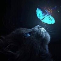 ⭐️本日もありがとうございました⭐️