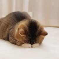 おやすみなさい😴