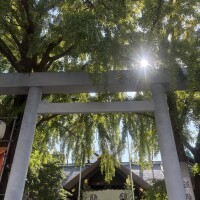 日曜日夕方から出勤です😊