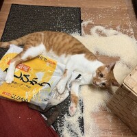 えー🥵