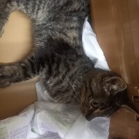 動物病院到着😽🏥