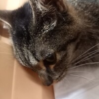 終りました🙀🏥