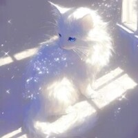 🍀おはようございます🍀