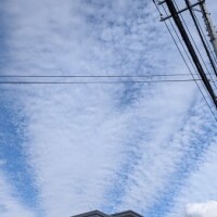 空