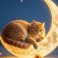 お疲れ様でした🌃