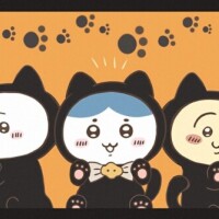 月1メンテ行って来ます😀
