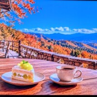 おはようございます