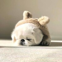 おはようございます