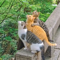 お休み☁️