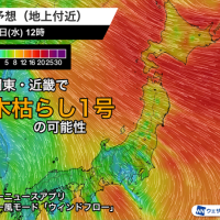 おはようございます