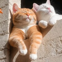 お休み☀️