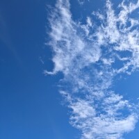 おはようございます