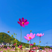秋晴れ☀️