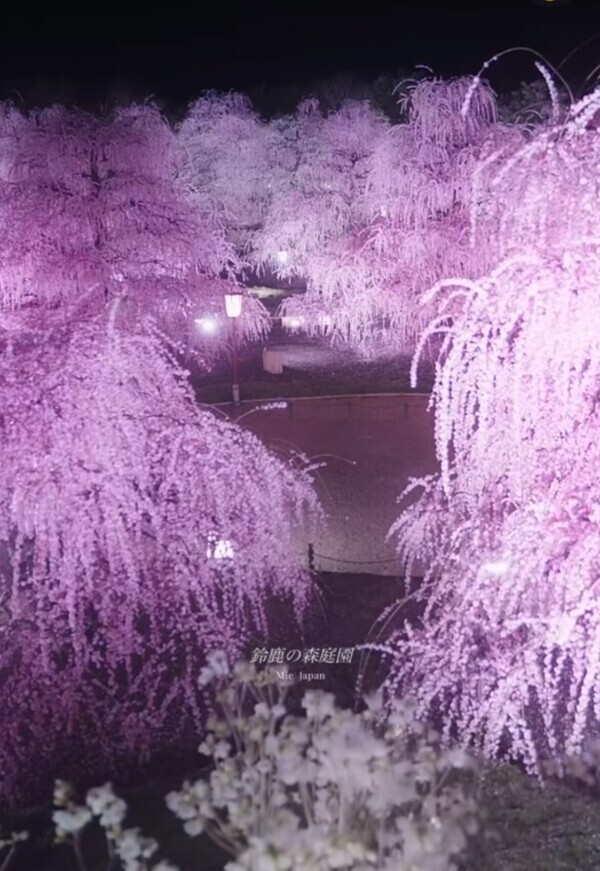 すごいー💕