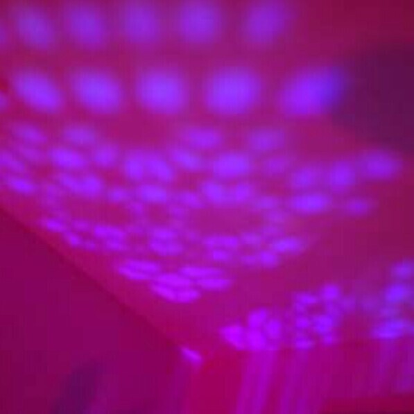 ✨🪷楽しいお時間を🪷✨