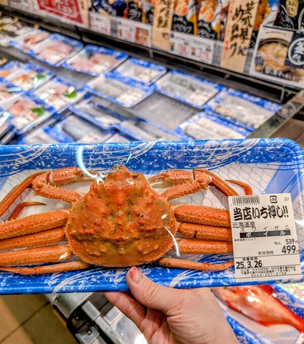 ✨🦀✨