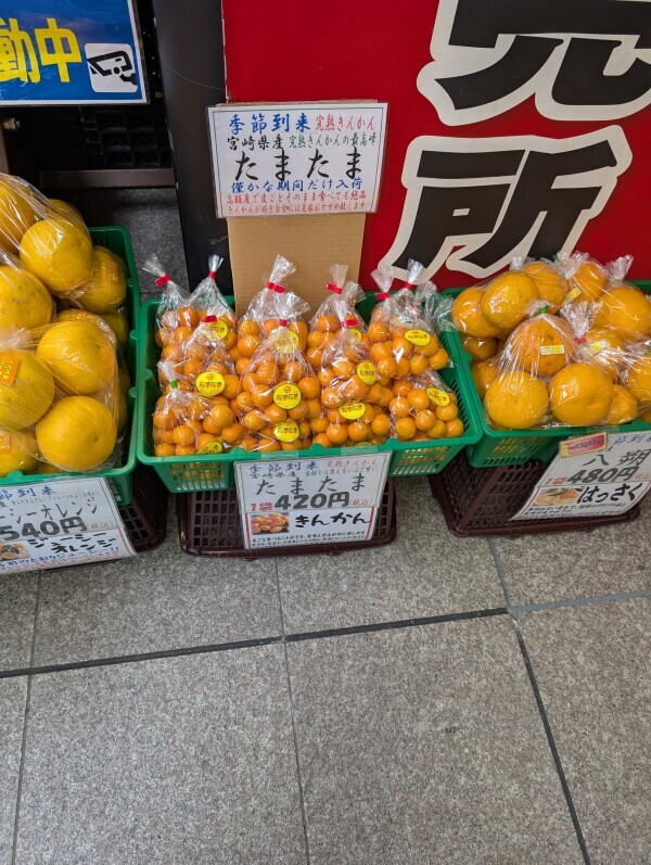 本日夕方から出勤です🐾