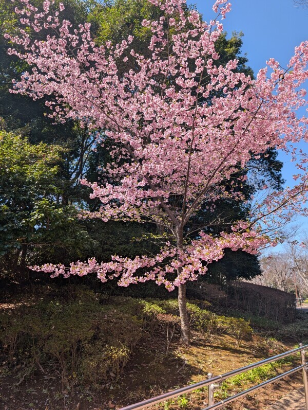 生ぬるい🐑