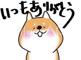 ✨✨𝑻𝒉𝒂𝒏𝒌 𝒚𝒐𝒖 リピーターS様✨✨